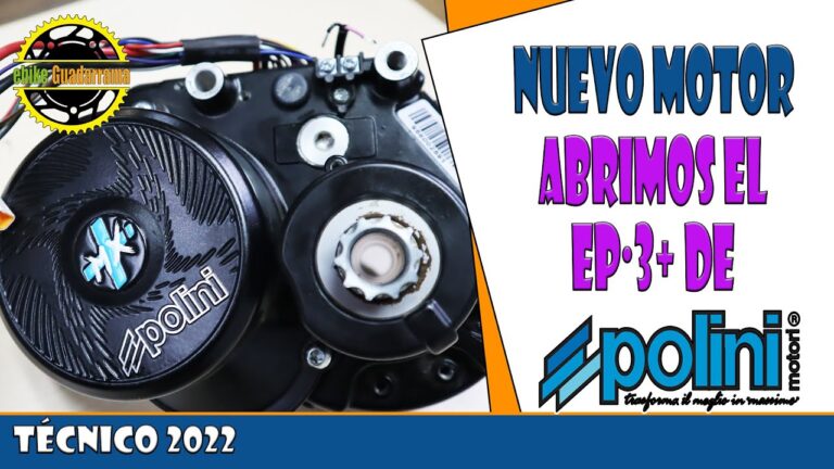 Calidad Asegurada en Cada Rotor para Bicicletas