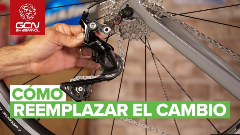 Optimizaci&oacute;n del Reemplazo y Actualizaci&oacute;n de Pi&ntilde;ones en Bicicletas