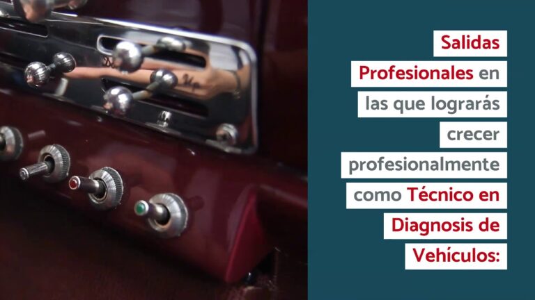 Frenos para Bicicletas: Clave de la Precisi&oacute;n y Seguridad