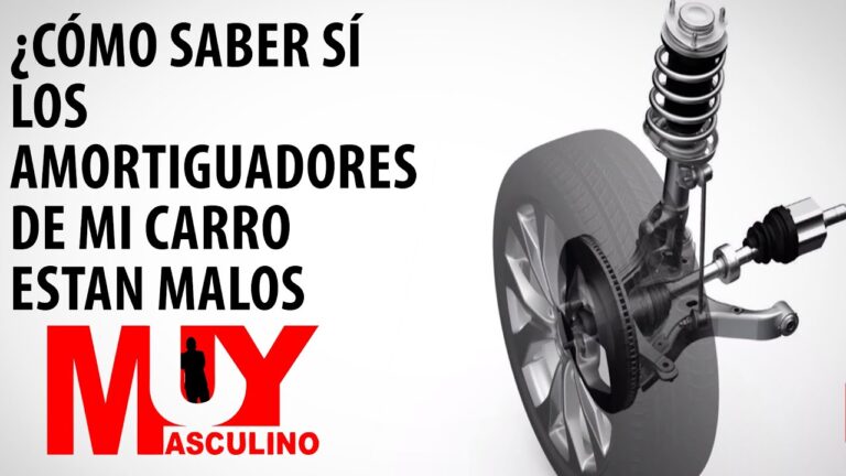 Amortiguadores Traseros: Clave para una Conducción Suave
