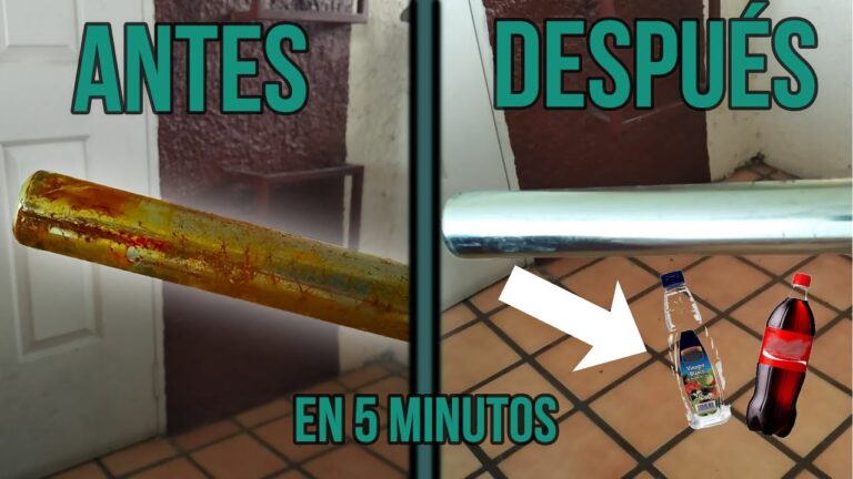 Guardabarros: La Esencia de una Bicicleta Limpia