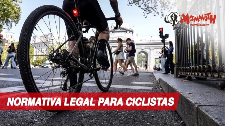 Normativas de Seguridad para Luces de Bicicletas en la V&iacute;a P&uacute;blica