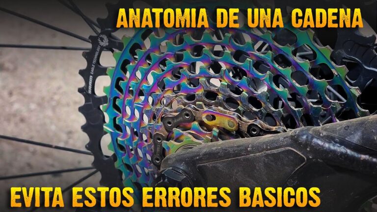 Soportes de Cadena: Resistencia y Durabilidad al Desgaste