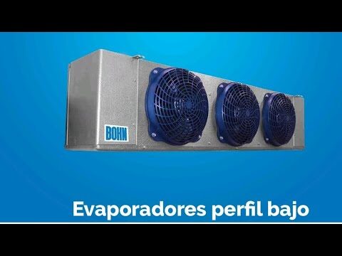Gu&iacute;a para la Selecci&oacute;n de V&aacute;lvulas en C&aacute;maras de Aire de Bicicleta