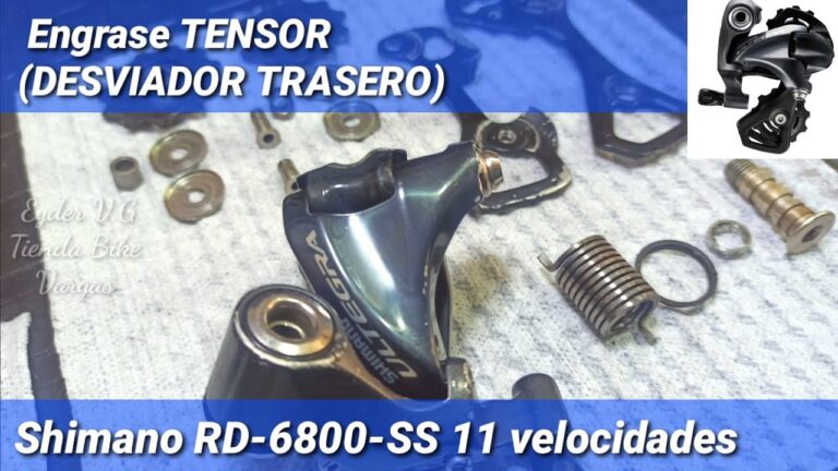 Gu&iacute;a de Mantenimiento del Desviador Trasero