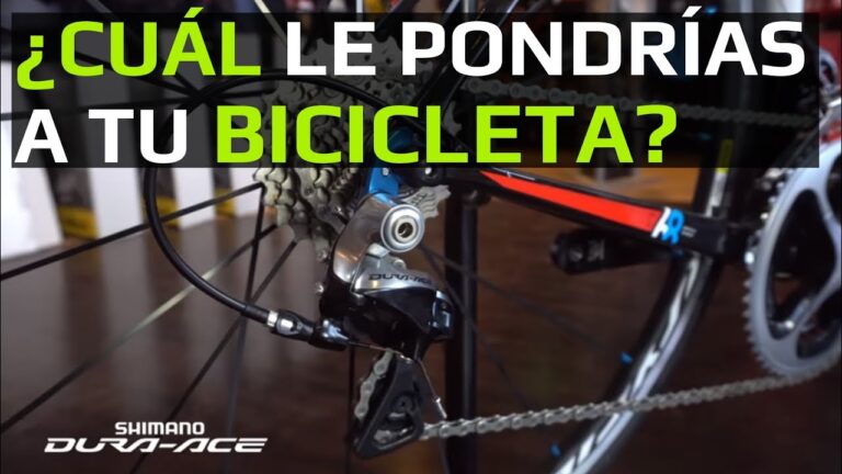 Gu&iacute;a de Equipos Completos de Bicicletas para Grupos