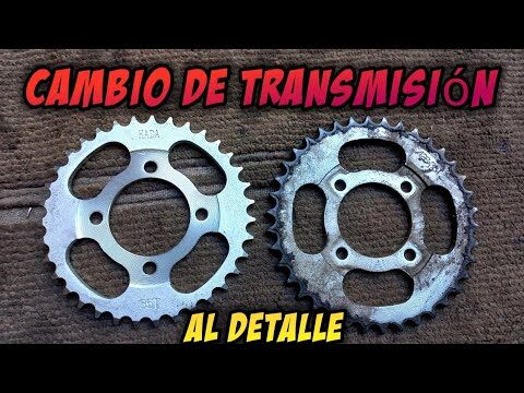 Repuestos Esenciales de Tornillos para Portacadenas