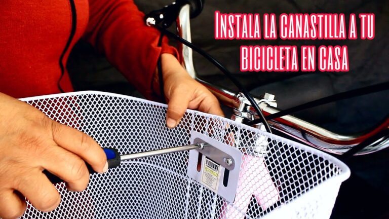 Platos Especiales para Cestas Delanteras de Bicicletas: Gu&iacute;a Completa
