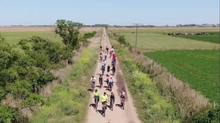 Beneficios de Usar Cascos en el Ciclismo Recreativo