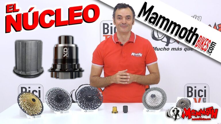 Ejes Pasantes y Limpieza: La Combinación Ideal