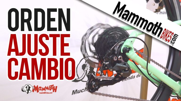Pi&ntilde;ones y Cassette: Claves Esenciales para tu Bicicleta