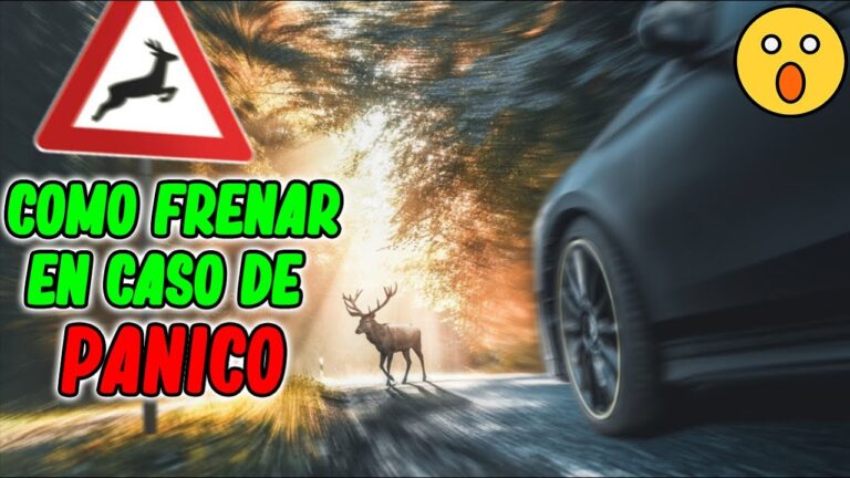 Frenos Efectivos para Emergencias: Claves para una Respuesta Rápida