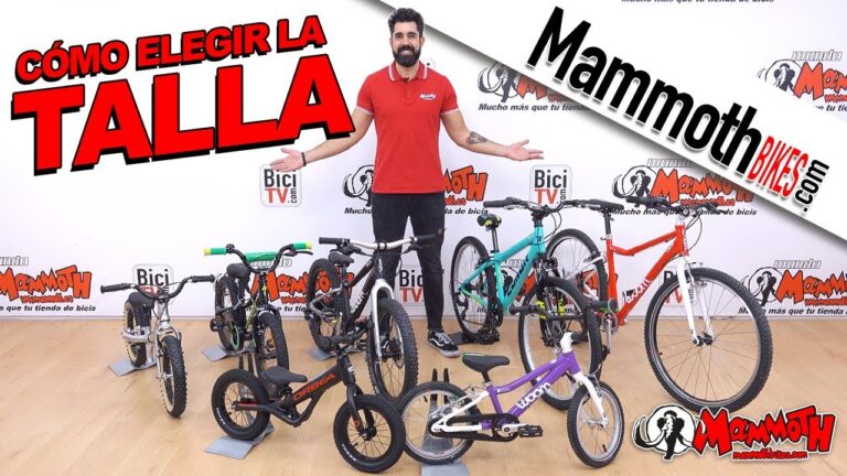 Asientos para Ni&ntilde;os en Bicicletas: Gu&iacute;a por Edad Recomendada