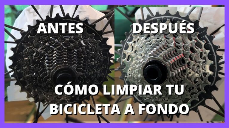 Cepillos de Calidad para el Cuidado de tu Bicicleta