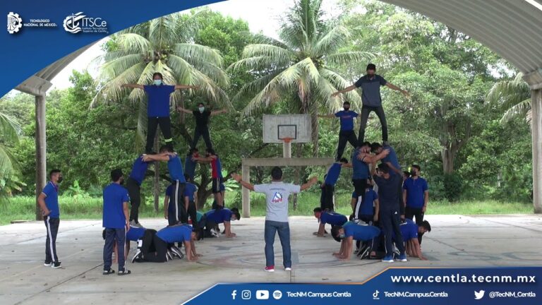 Planificaci&oacute;n Efectiva de Salidas Grupales en Bicicletas Completas