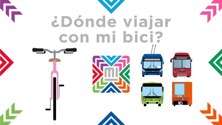 Beneficios de los Racks Plegables para el Transporte de Platos en Bicicletas