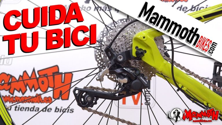 Consejos para Extender la Vida de las C&aacute;maras de Aire de tu Bicicleta