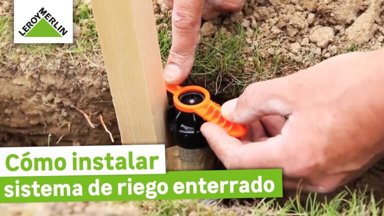 Tapones Decorativos para Válvulas Presta: Estilo y Funcionalidad