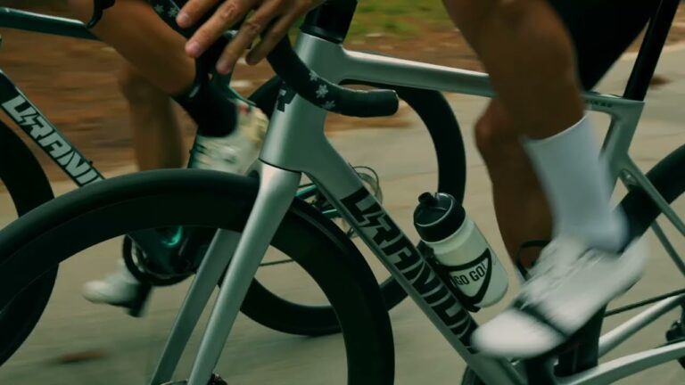 Descubre la Versatilidad de los Platos para Bicicletas