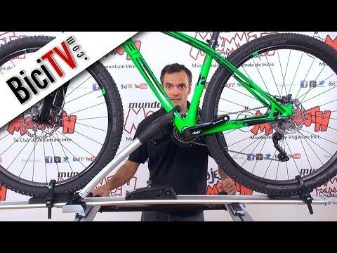 Mejores Platos para Bicicletas en Barras Portaequipajes