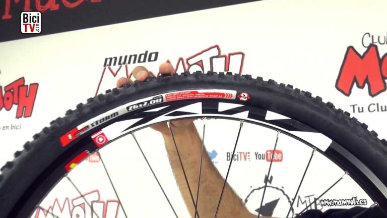 Gu&iacute;a para la Selecci&oacute;n de Neum&aacute;ticos de Bicicleta de Monta&ntilde;a