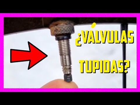 Protecci&oacute;n Solar Ideal para V&aacute;lvulas de Bicicleta