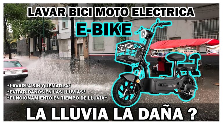 Asientos Seguros y Confiables para Ni&ntilde;os en Bicicletas