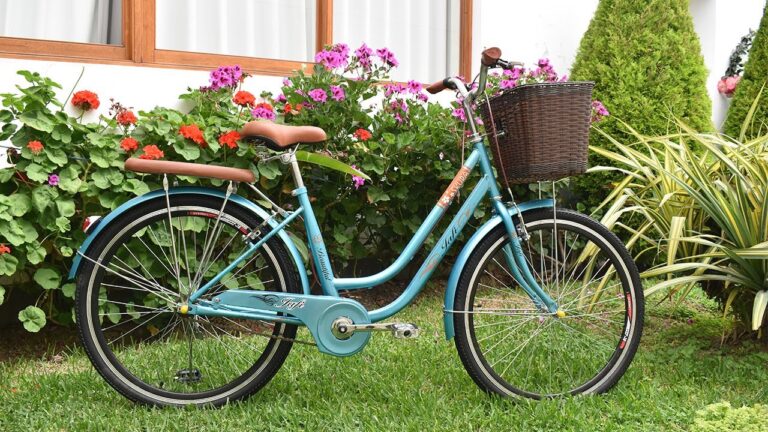 Pedales &Uacute;nicos para Paseos con Estilo