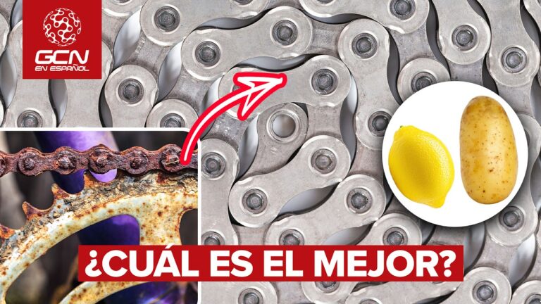 Accesorios Esenciales de Torniller&iacute;a para el Plato de la Bici