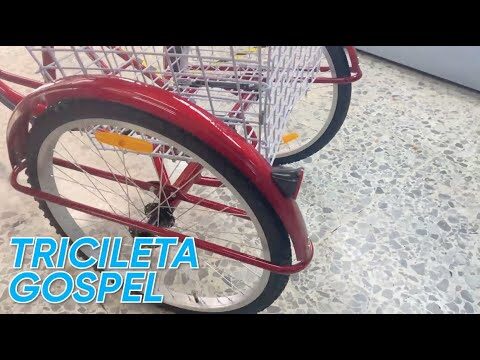 Practicidad en el Transporte de Platos en Bicicletas